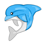 dolphin-day-2